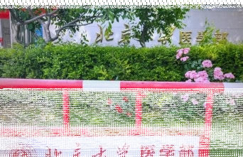 医学部
