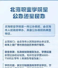实训