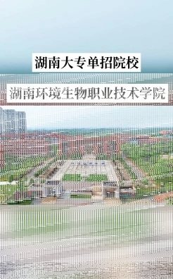 学院