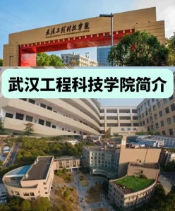 武汉工程