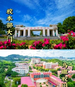 学院
