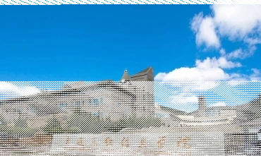 教学成果