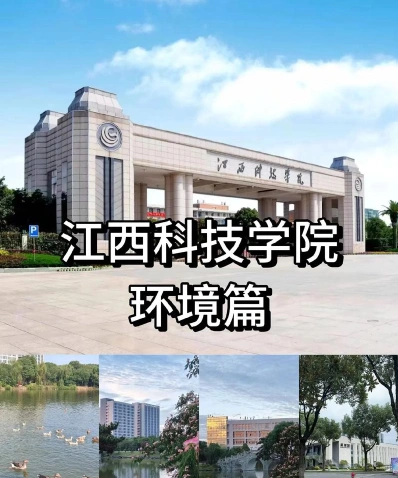 实验