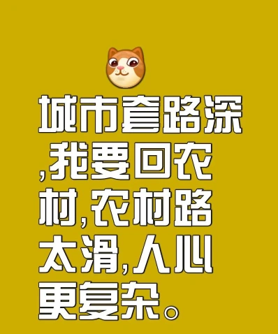 套路