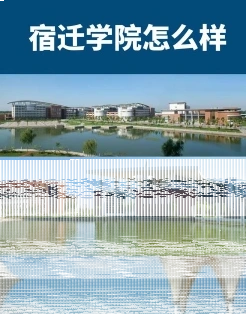 学校