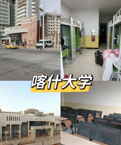 专任教师