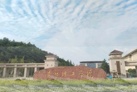 创新型人才