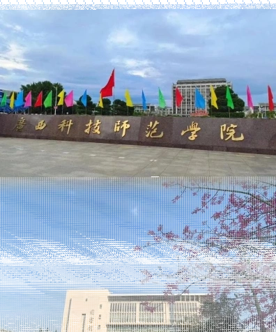 专任教师