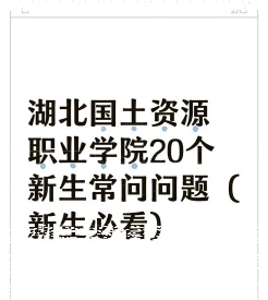 学校