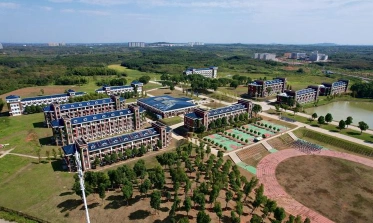 学校