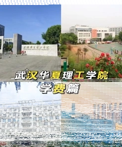 学校