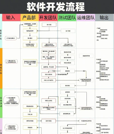 软件开发