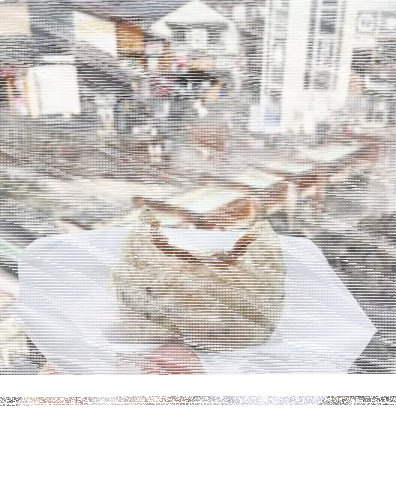 旅行青蛙图鉴