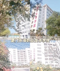 学院