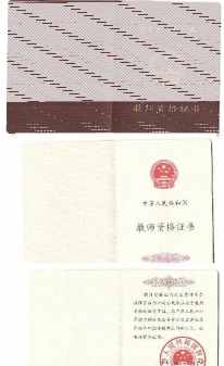 教育部门