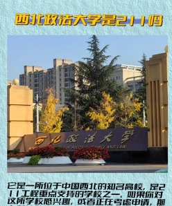 中心