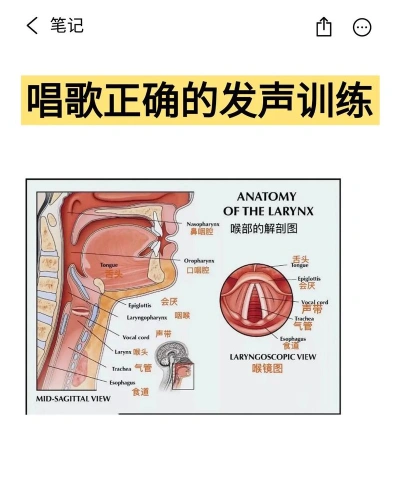 唱歌
