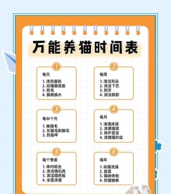 训练