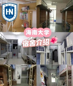 提供