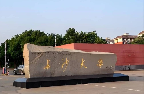 占比