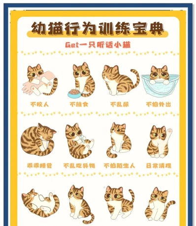 指令