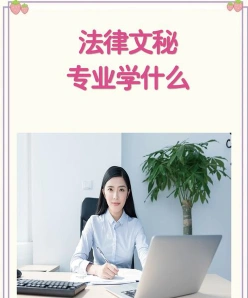 文秘专业