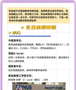新加坡大学