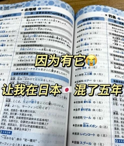 词典
