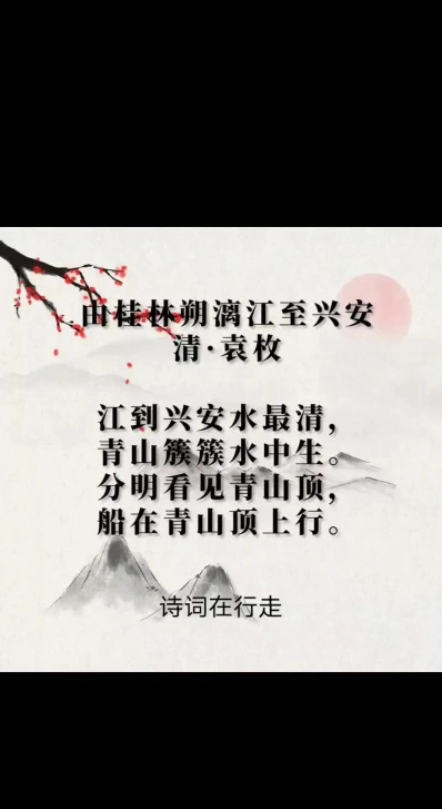 青罗