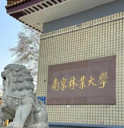 林区