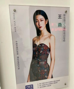 车模