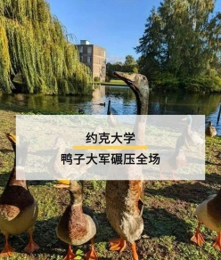 大学