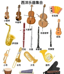 适合