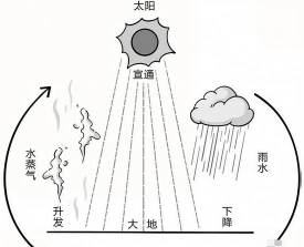 风能