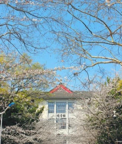 颜色
