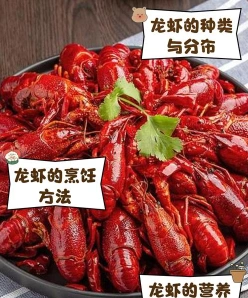 龙虾