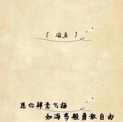 映照