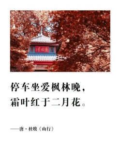 红叶的诗句
