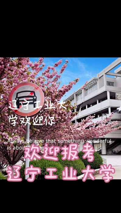 上海立达