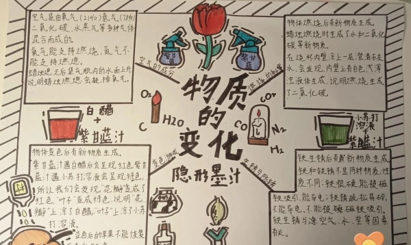 选科