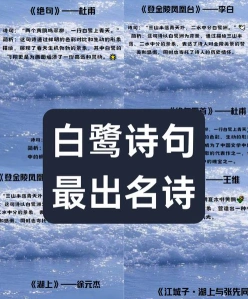 海鸟