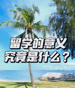 留学生