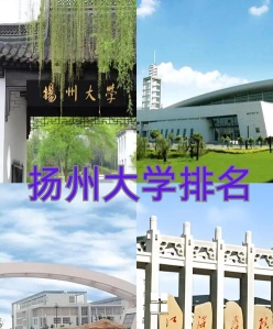 学科