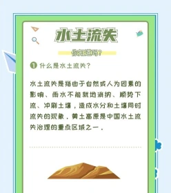 植被