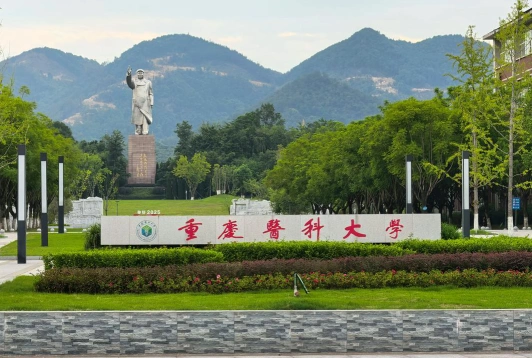 提供