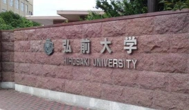 弘大