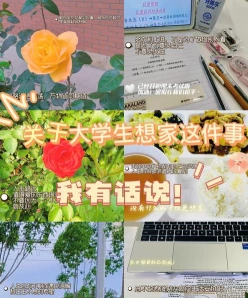 回家