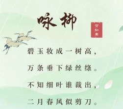 杨柳