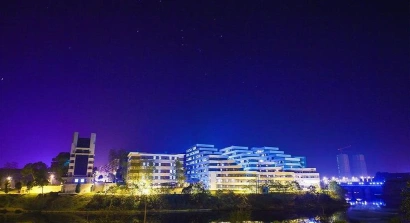 综合性大学