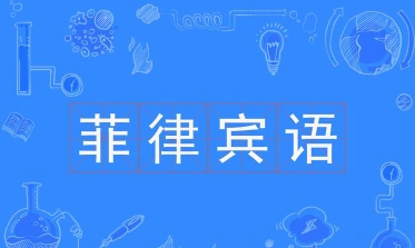 专业
